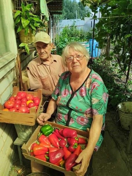 Помощь в сборе урожая