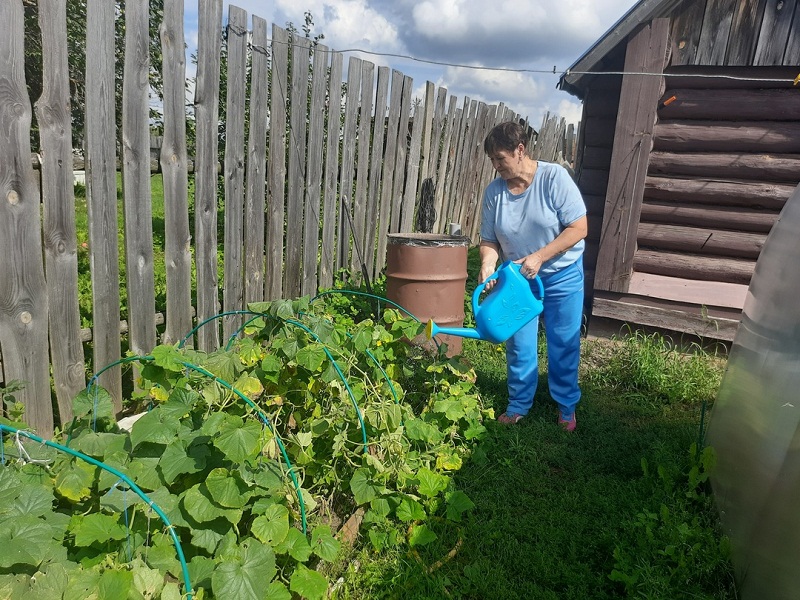 Мобильная бригада в действии