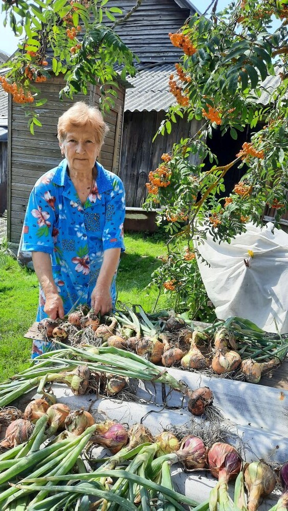 9 сентября - Всероссийский день лука