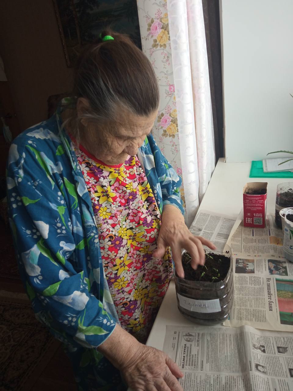 Выращиваем рассаду