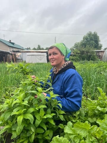 Заготовка лекарственных трав на зиму.